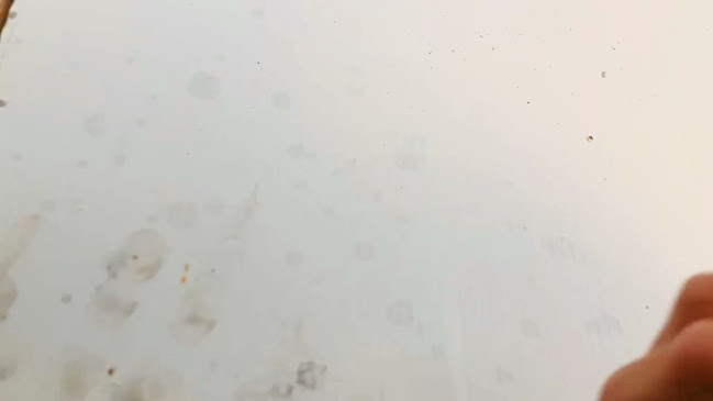 Reviews of Francesca's Pizzeria in Auckland - Hospitality and gastronomy