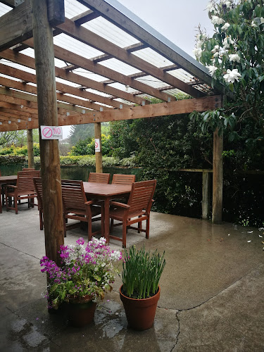 Opinii despre Murrayfield Cafe în Levin - Hospitality and gastronomy