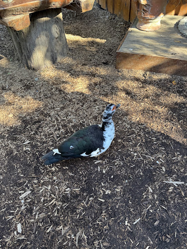 Archway Café - Richmond