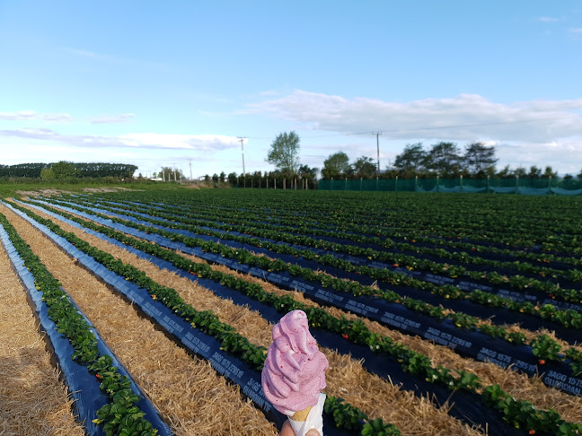 129 Bell Road, Papamoa Beach, Papamoa 3187, New Zealand