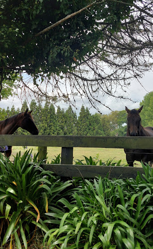 Karapiro Cafe & bakery - Hospitality and gastronomy