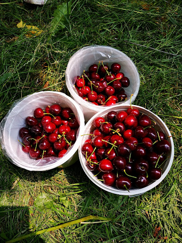 Reviews of Gracebrook Orchard in Amberley - Hospitality and gastronomy