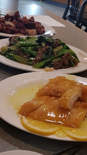 Delight Plus Chinese Restaurant - Hospitality and gastronomy