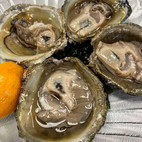 Comments and reviews of Hunger Monger Seafood