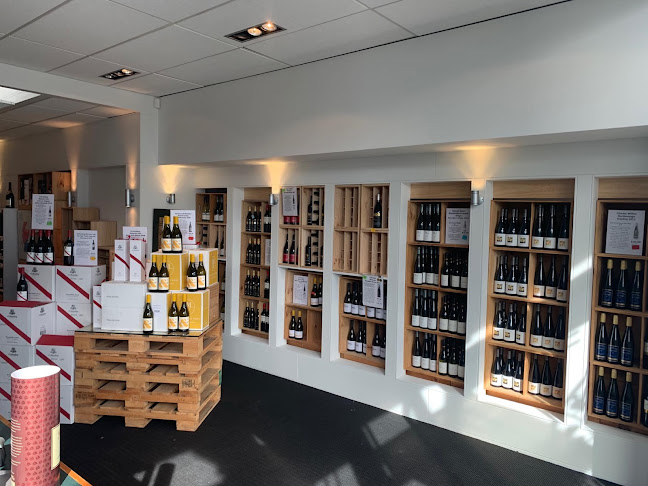 Opinii despre Primo Vino în Hamilton - Hospitality and gastronomy