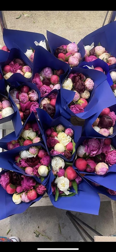 Peonies on Lansdowne