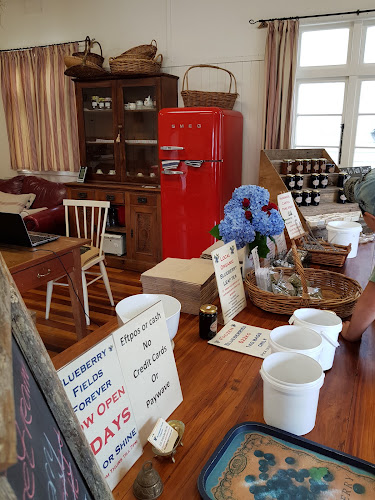 Comentarii opinii despre Blueberry Fields Forever (PYO)