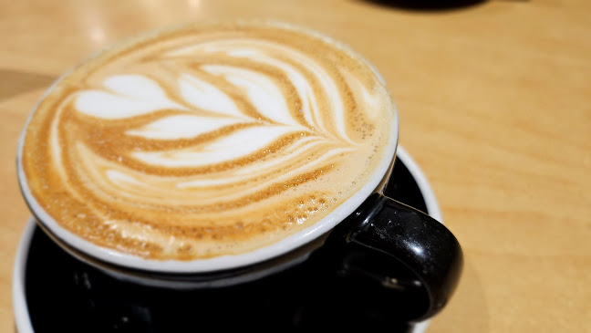 19/23 Memorial Avenue, Ilam, Christchurch 8053, New Zealand