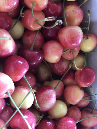 Comentarii opinii despre Sandy Acres