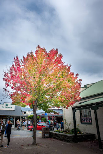 Opinii despre The Willows Cafe în Arrowtown - Hospitality and gastronomy