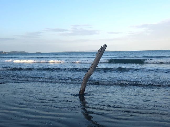 Comentarii opinii despre Surf Club Bistro