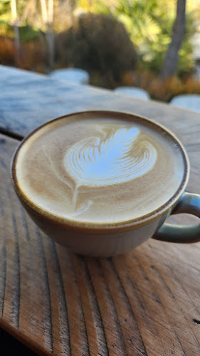 Curbside Coffee & Bagels Phone number