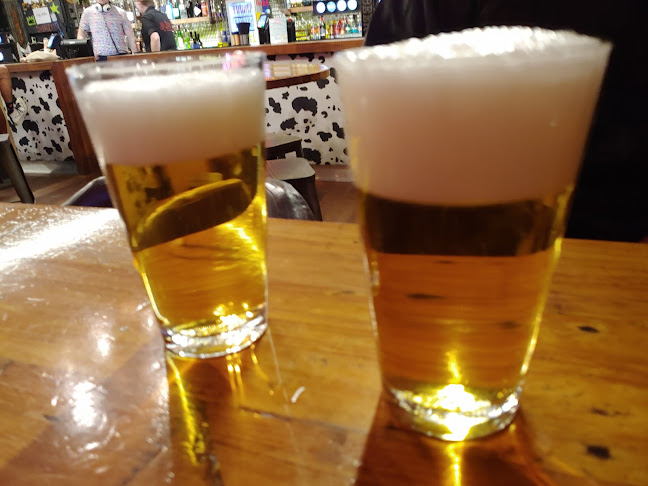 Dakota Bar - Hospitality and gastronomy