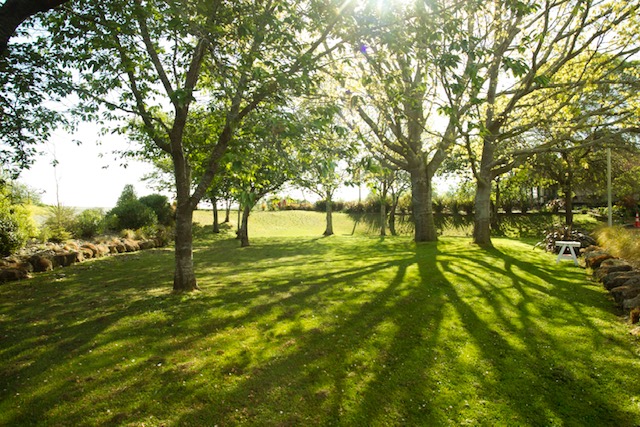 Comentarii opinii despre Maheno Country Tavern