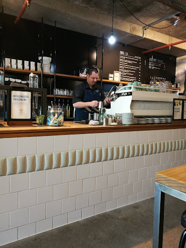 Comentarii opinii despre Mojo Origins