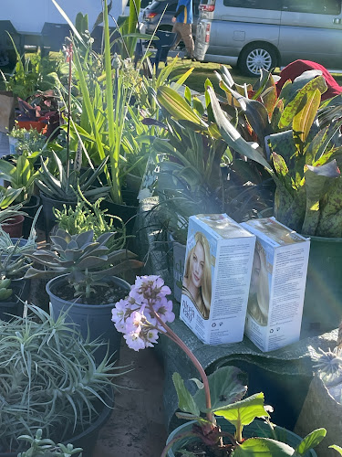 Papamoa Lions Club Market - Papamoa