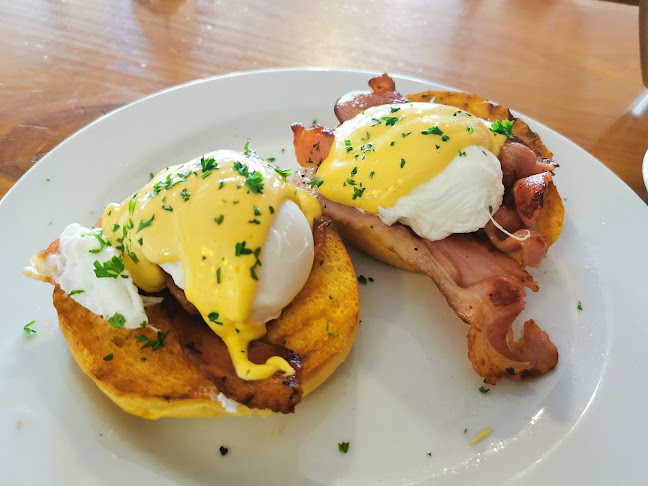 Wild Oats Bakery/Deli/Cafe - Hospitality and gastronomy