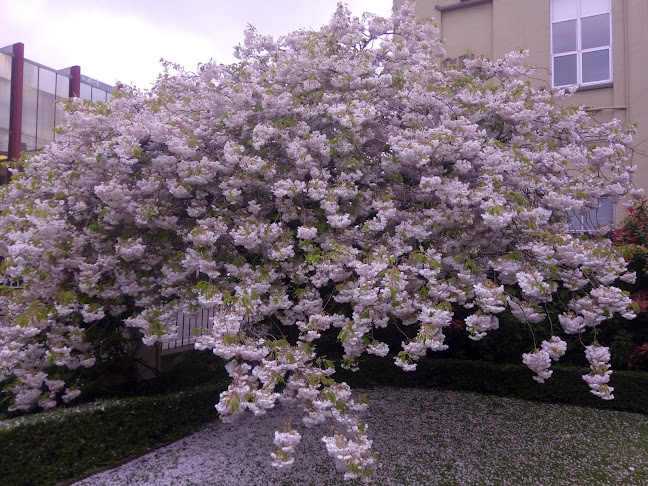 32 Don Street, Invercargill 9810, New Zealand