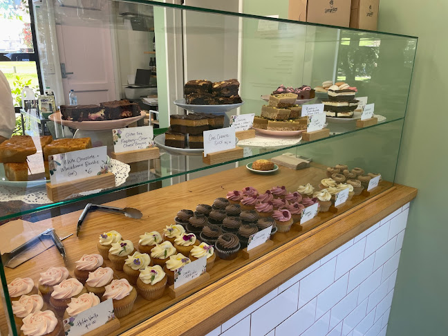 Comentarii opinii despre Spongedrop