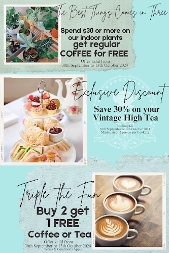 Comments and reviews of Daily Latte & Tea Room