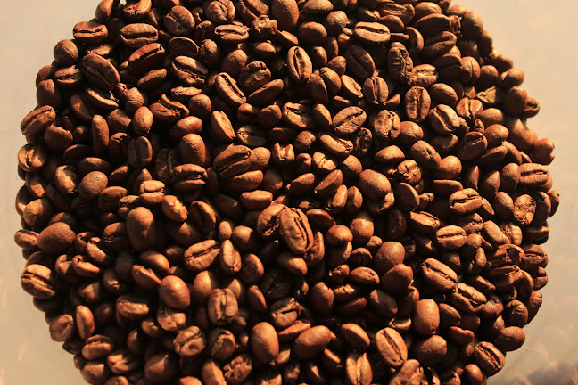 Easy Bean - Hospitality and gastronomy