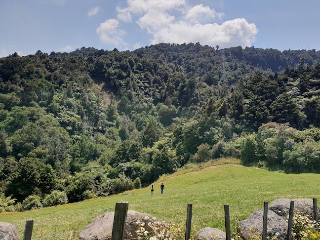 Paddock 66 - Hospitality and gastronomy