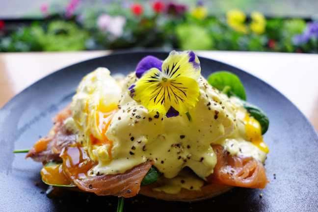 Lemon Tree Café - Hospitality and gastronomy