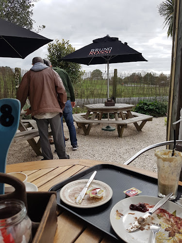 Comentarii opinii despre Native Tree Cafe