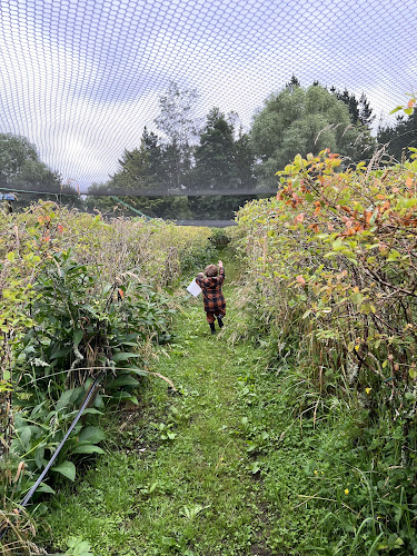 Blueberry Fields Forever (PYO) - Hospitality and gastronomy
