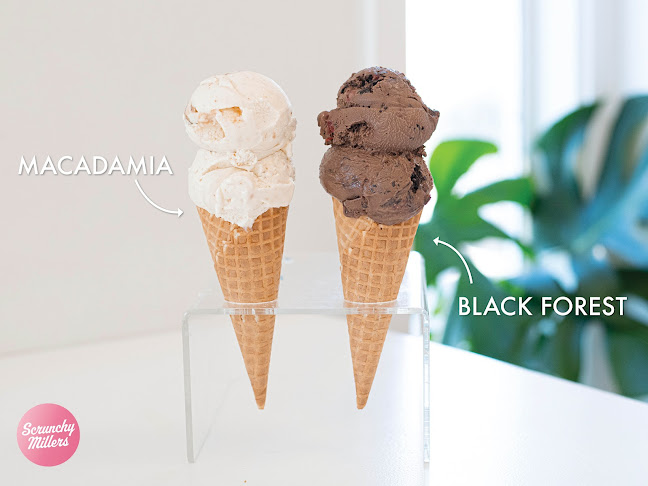 1 Shakespeare Road, Milford, Auckland 0620, New Zealand