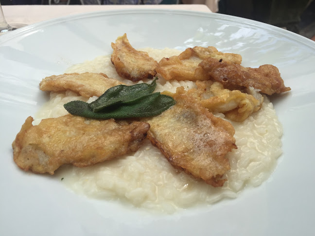 The Surfer's Mistress - Hospitality and gastronomy