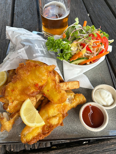 Judge - House Of Ale - Hospitality and gastronomy