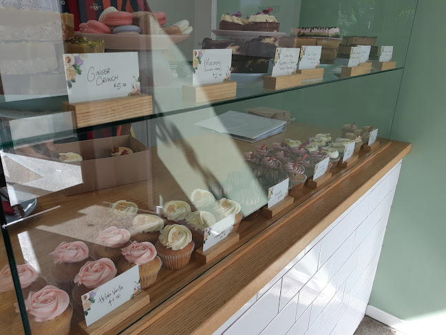 Spongedrop - Mount Maunganui