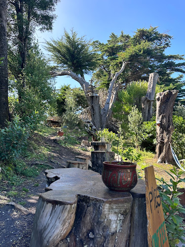 Comentarii opinii despre Archway Café