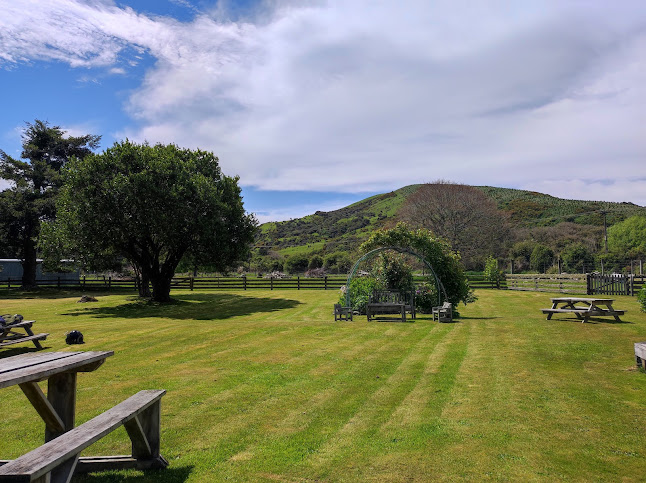 Niagara Falls Cafe - Hospitality and gastronomy