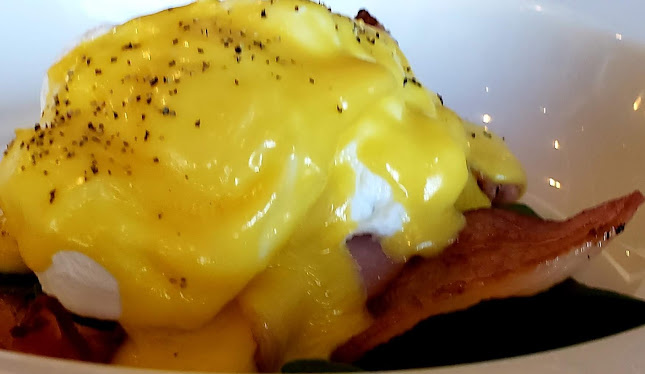 Blue Rose. - Hospitality and gastronomy