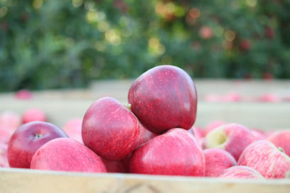 Riverland Fruit Company