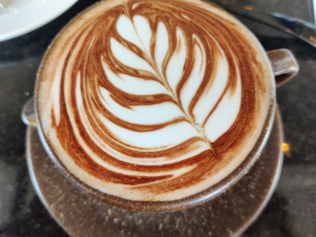 37 Clyde Road, Browns Bay, Auckland 0630, New Zealand