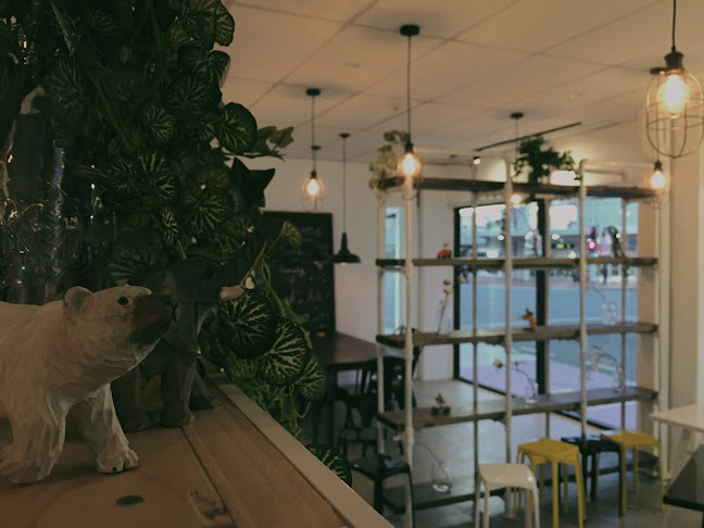 Comments and reviews of Noah's Ark Teahouse Lower Hutt