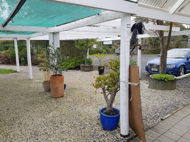 Native Tree Cafe - Thames