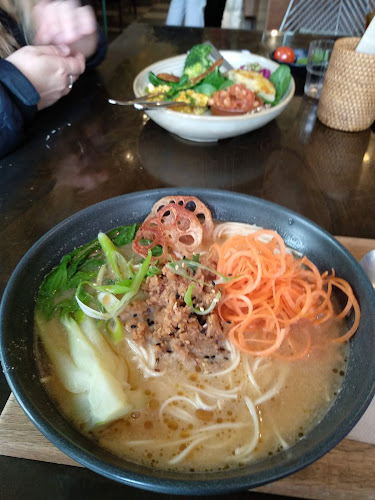 Mimosa - Hospitality and gastronomy