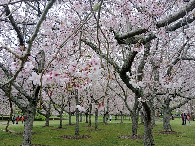 Cornwall Park Pohutakawa Drive, Epsom, Auckland 1051, New Zealand
