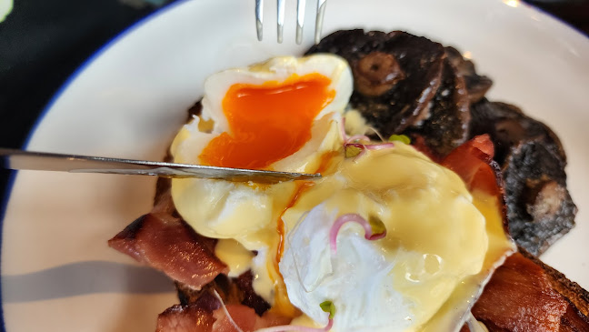 Spruce Goose - Hospitality and gastronomy