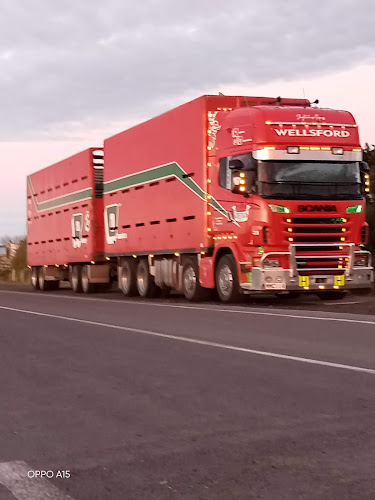 Top Horse Takeaways - Silverdale