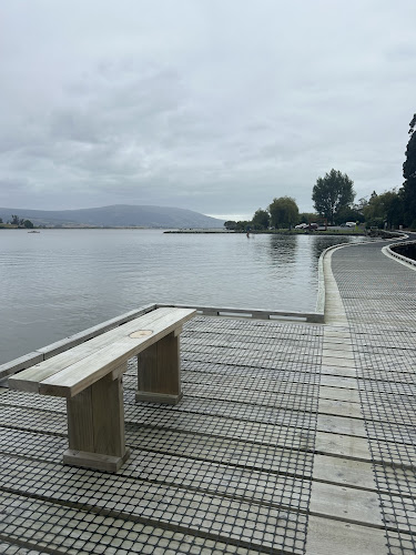 Waihola Fish and Chips