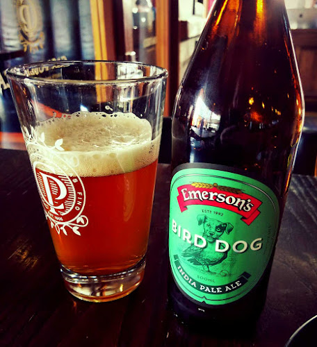 Reviews of Casa Publica in Christchurch - Hospitality and gastronomy