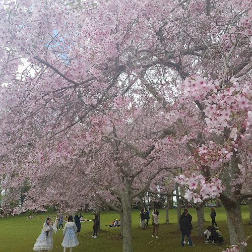 Comentarii opinii despre Cornwall Park Cafe