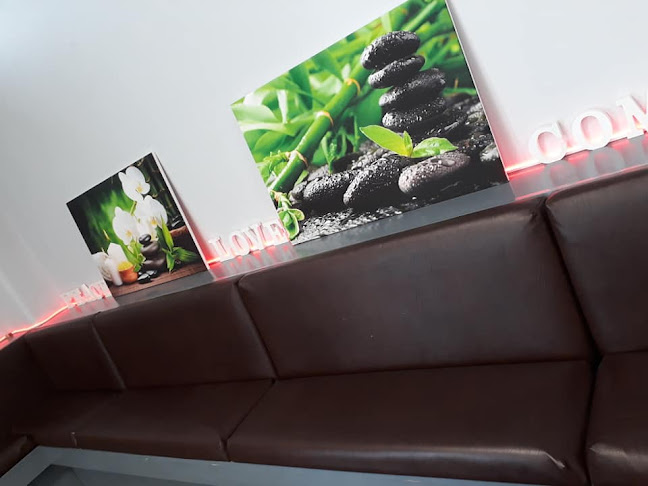 Four Leaf Clover Vegetarian Restaurant - Hospitality and gastronomy