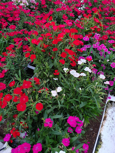 34 Hawken Road, Maunu, Whangārei 0179, New Zealand