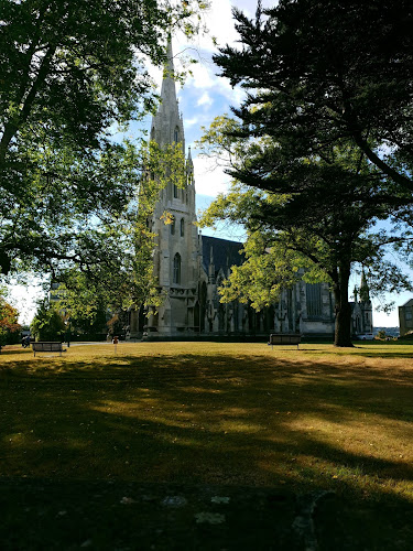 Cilantro Cafe - Hospitality and gastronomy